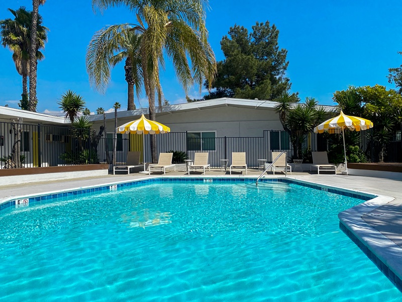 Pool at Rock Ridge with a row of lounge chairs, two yellow-and-white striped umbrellas and palm trees