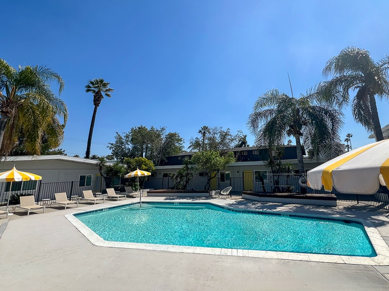 Wide view of the Rock Ridge pool with lounge chairs, striped umbrellas and tall palm trees